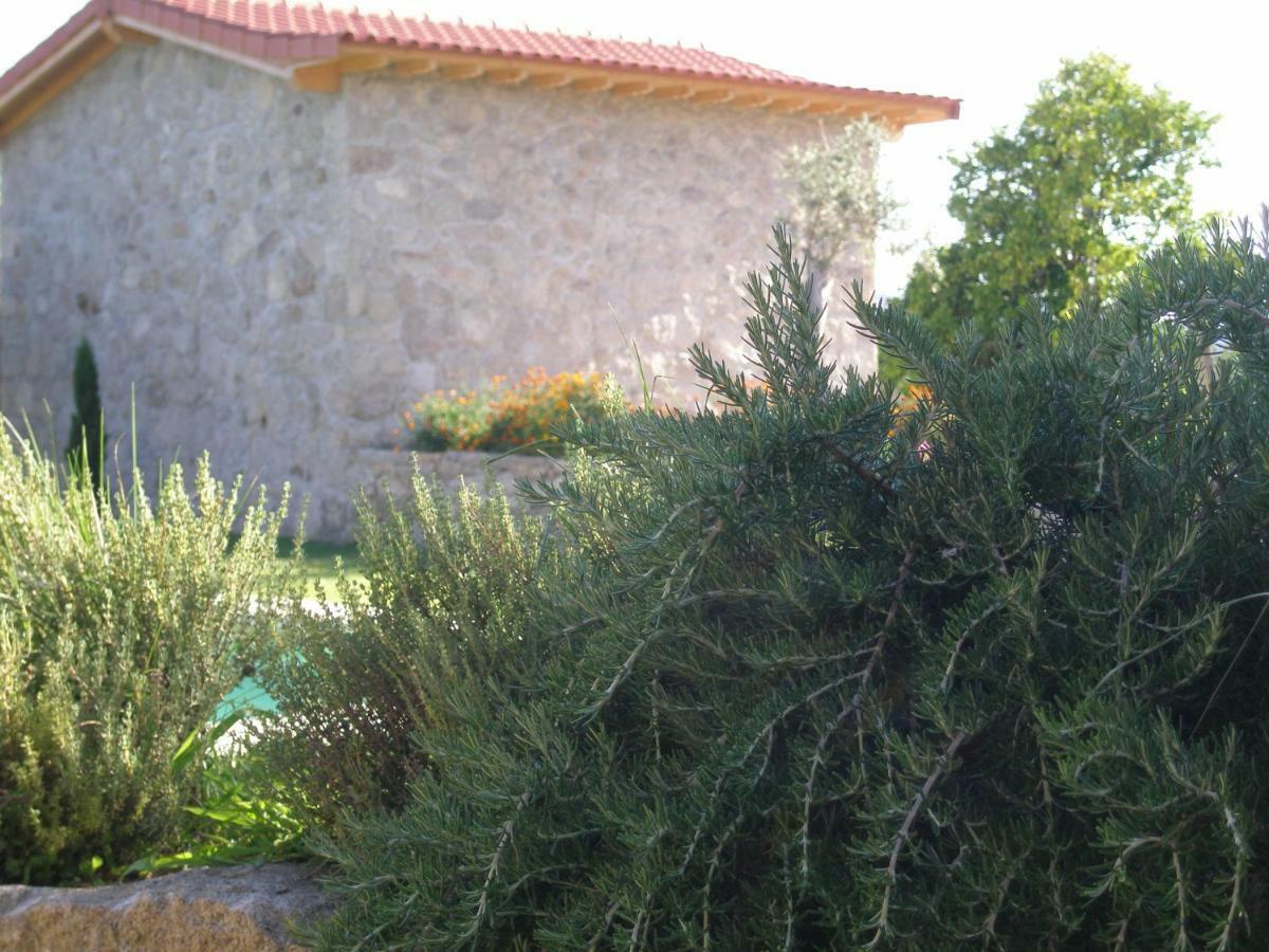Eido Da Portela - Casa De Campo Carregadouro Exteriér fotografie